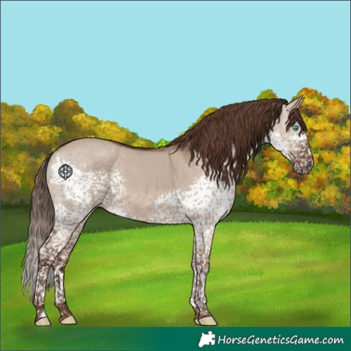Horse Color:Liver Red Dun Splash Tobiano 