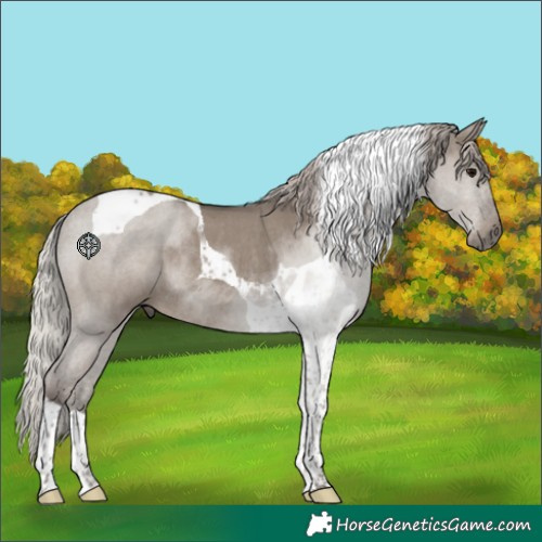 Horse Color:Silver Grullo Tobiano Rabicano 