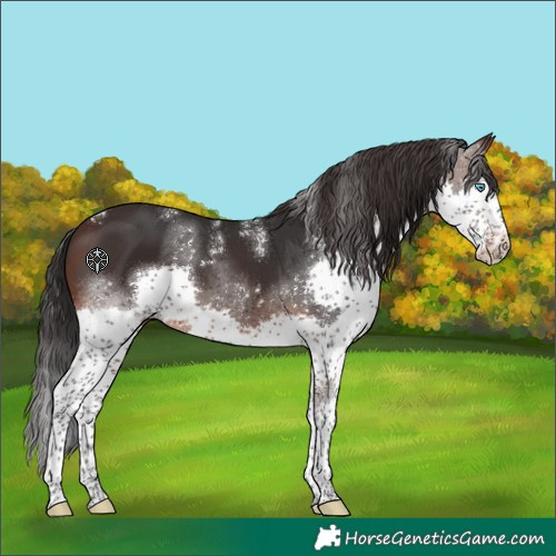 Horse Color:Powder White Brown Splash