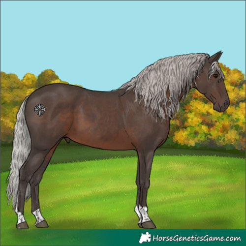 Horse Color:Silver Black Tobiano 