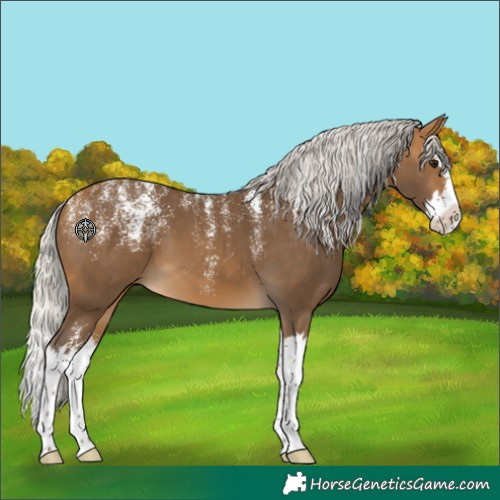 Horse Color:Powder White Silver Buckskin Splash 