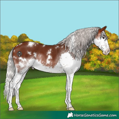 Horse Color:White Spotted Silver Brown Splash Tobiano Varnish 