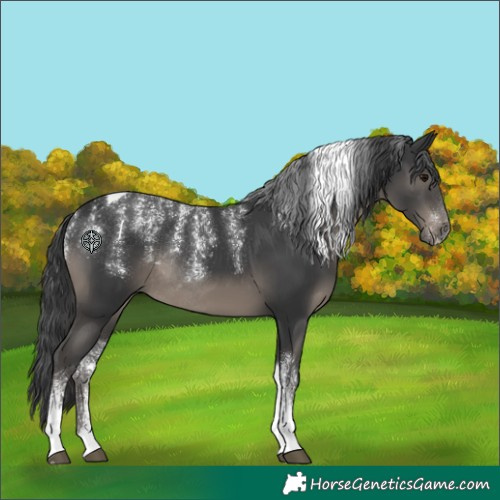 Horse Color:Powder White Black Tobiano Rabicano 