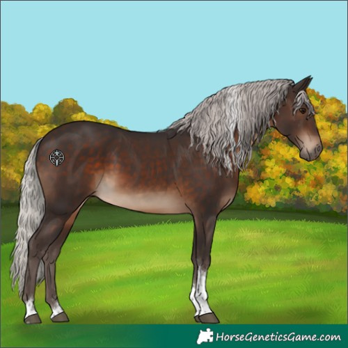 Horse Color:Silver Brown Tobiano