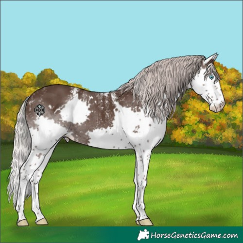 Horse Color:Powder White White Spotted Silver Black Splash 