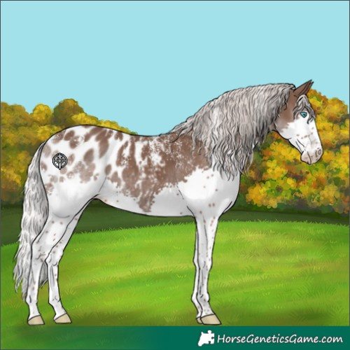 Horse Color:Powder White Silver Black Splash Appaloosa Rabicano 