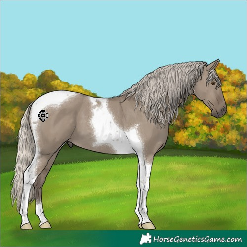 Horse Color:Silver Smoky Grullo Tobiano 