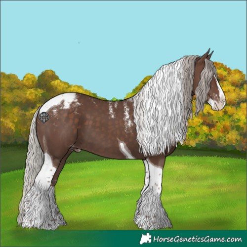 Horse Color:Powder White Silver Black Splash Tobiano Varnish 