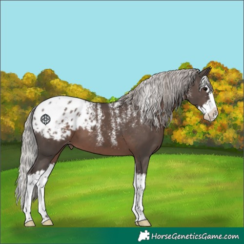 Horse Color:Powder White Silver Black Splash Blanket 