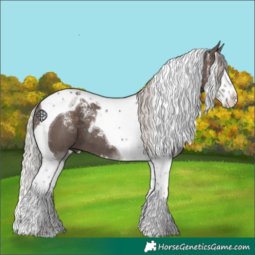 Horse Color:Powder White Silver Black Splash Tobiano 
