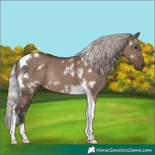 Horse Color:White Spotted Silver Grullo Tobiano Rabicano 