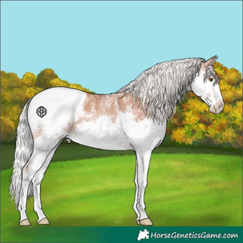 Horse Color:Powder White Silver Black Pearl Splash Snowcap