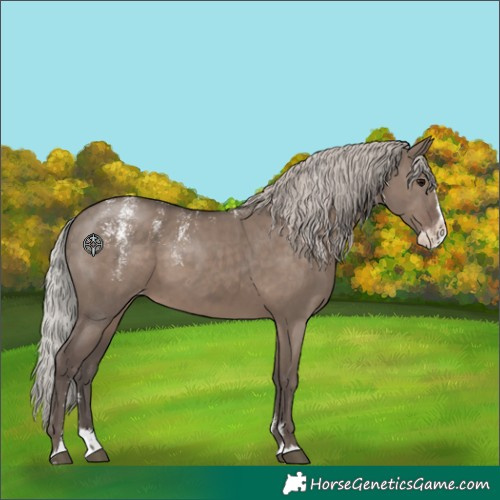 Horse Color:Powder White Silver Grullo Splash Appaloosa 