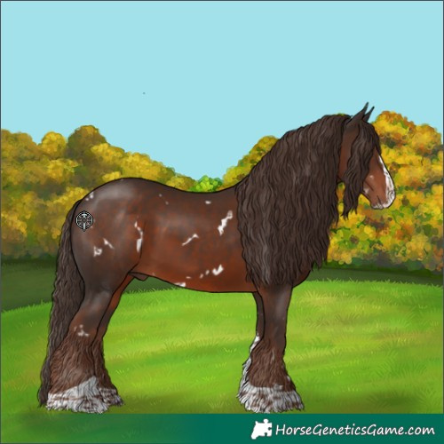 Horse Color:White Spotted Liver Chestnut Splash Tobiano 