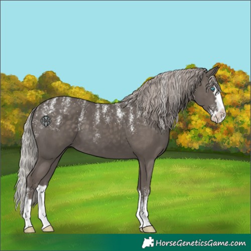 Horse Color:Powder White Silver Black Splash 