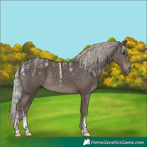 Horse Color:Powder White Silver Black 