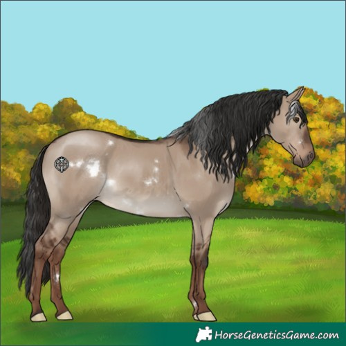 Horse Color:White Spotted Liver Red Dun Rabicano 