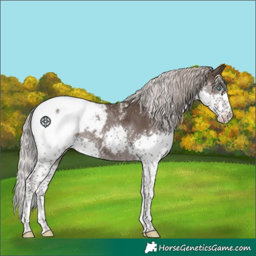 Horse Color:Powder White White Spotted Silver Black Splash Snowcap 