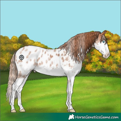 Horse Color:Powder White Brown Pearl Splash Blanket 