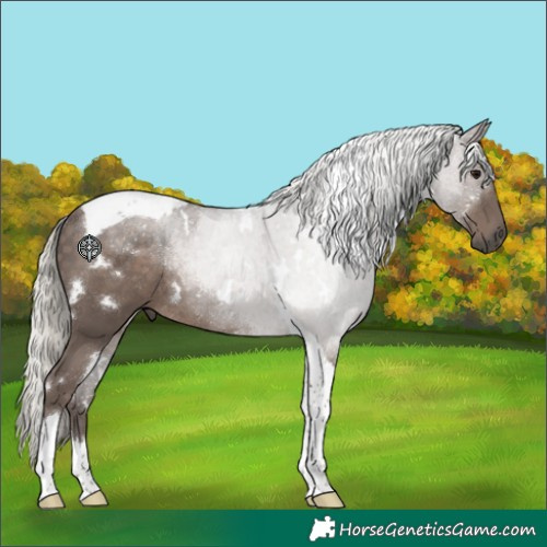 Horse Color:White Spotted Silver Black Tobiano Rabicano 
