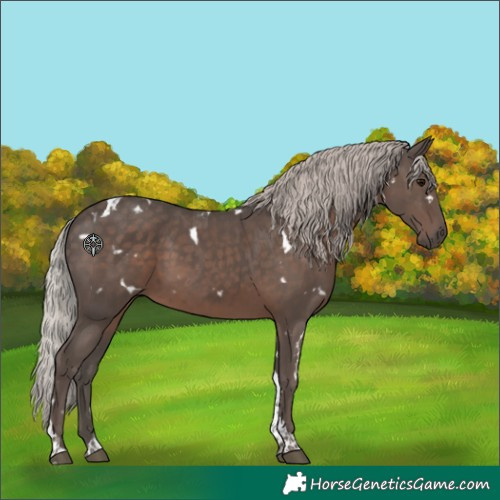 Horse Color:White Spotted Silver Black Tobiano 