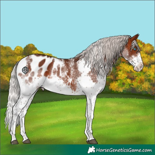 Horse Color:Powder White Silver Brown Splash Tobiano Blanket 