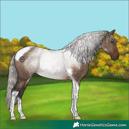 Horse Color:Silver Brown Dun Tobiano Rabicano