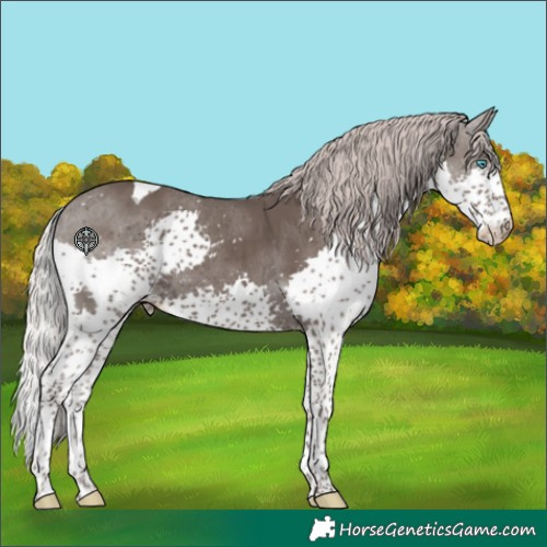 Horse Color:Silver Black Splash Tobiano Varnish 