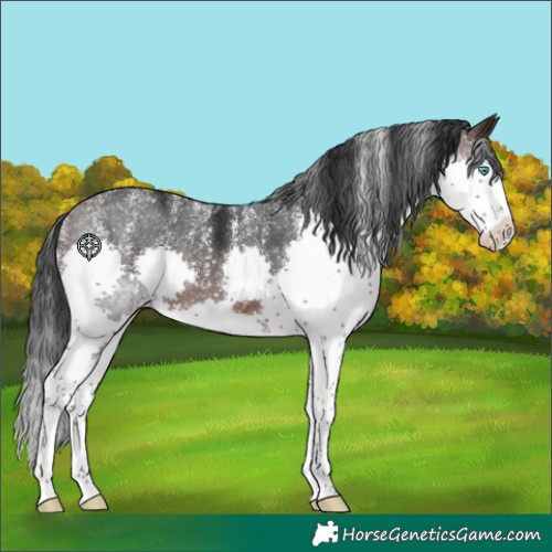 Horse Color:Powder White Brown Splash 
