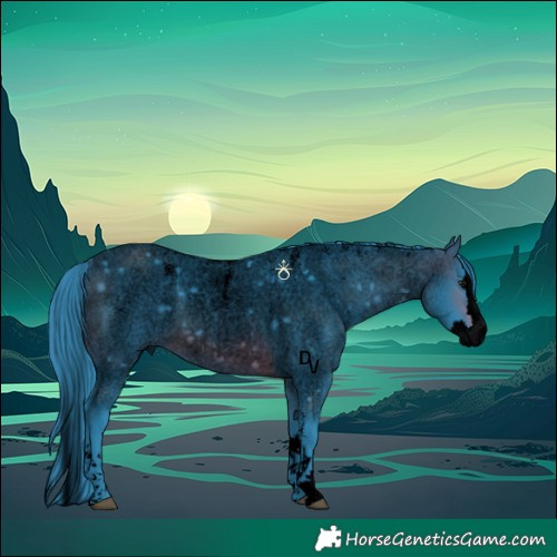 Horse Color:Powder White Void Watercolor Brown Roan Splash