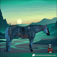 Horse Color:Powder White Void Watercolor Brown Roan Splash