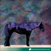 Horse Color:Powder White Void Watercolor Brown Splash