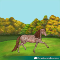 Horse Color:Chestnut Ice 
