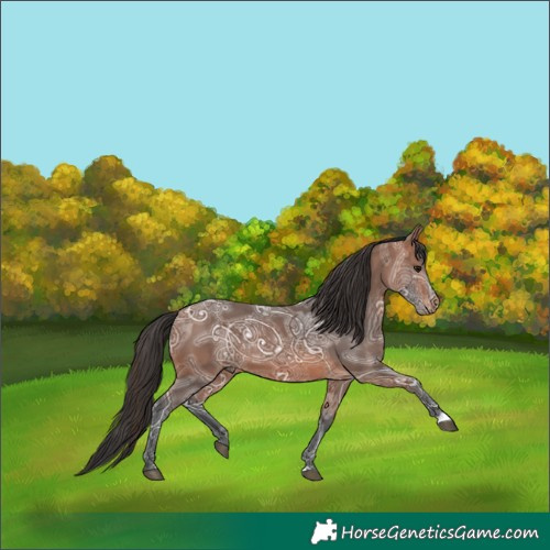 Horse Color:Bay Ice