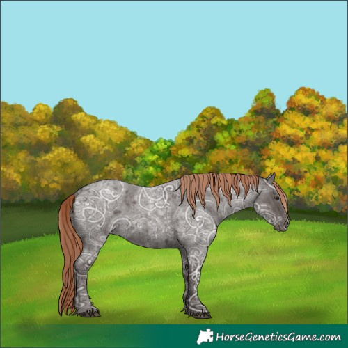 Horse Color:Liver Red Ice Roan 