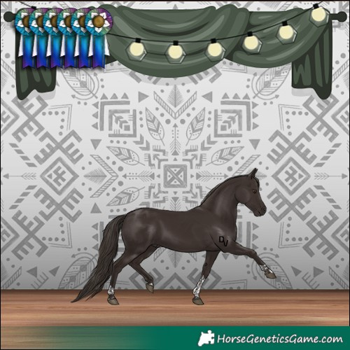 Horse Color:Liver Chestnut Tobiano 