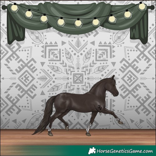 Horse Color:Liver Chestnut Tobiano