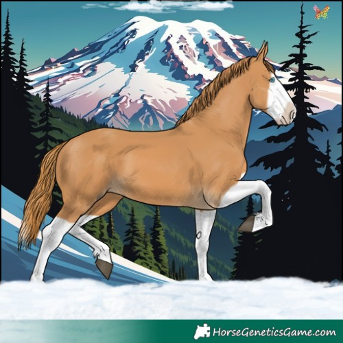 Horse Color:Chestnut Splash Frame