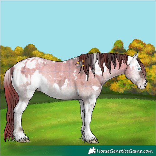 Horse Color:Watercolor White Spotted Brown Ice Roan Onyx Splash Leopard and Plaid White Spotted Brown Ice Onyx Blanket Rabicano