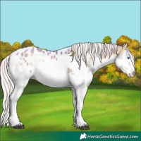 Horse Color:Watercolor White Spotted Silver Buckskin Ice Onyx Splash Blanket