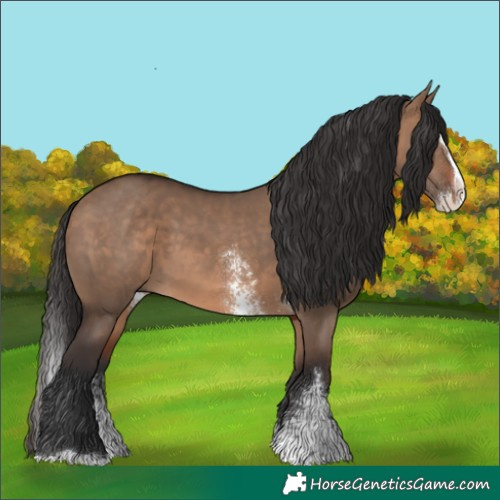 Horse Color:Brown Dun Sabino Splash Rabicano 