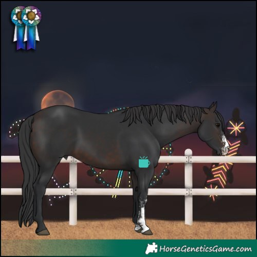 Horse Color:Brown Sabino 
