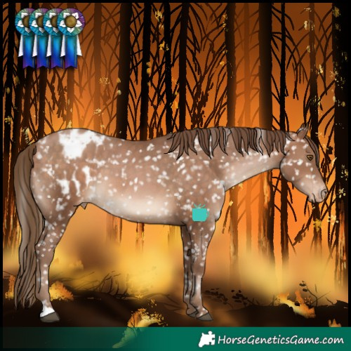 Horse Color:Brown Pearl Snowflake Varnish 