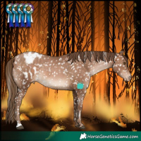 Horse Color:Brown Pearl Snowflake Varnish 