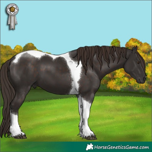 Horse Color:Liver Chestnut Tobiano 