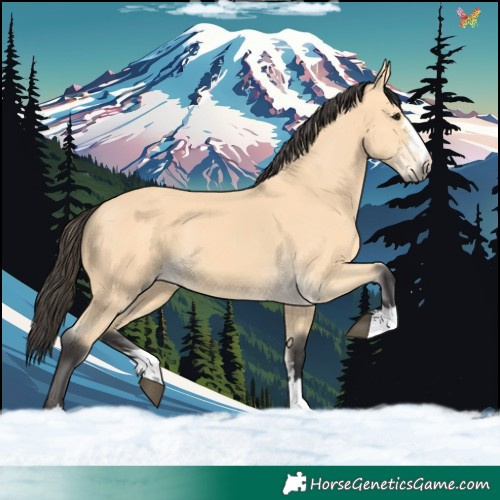 Horse Color:Buckskin