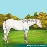 Horse Color:Silver Smoky Grullo Roan Pearl Varnish 