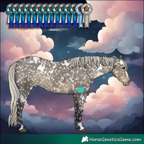 Horse Color:White Spotted Silver Smoky Grullo Snowflake Varnish Rabicano 