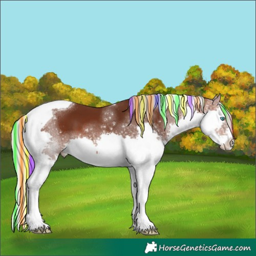 Horse Color:Painted Silver Brown Splash Tobiano 