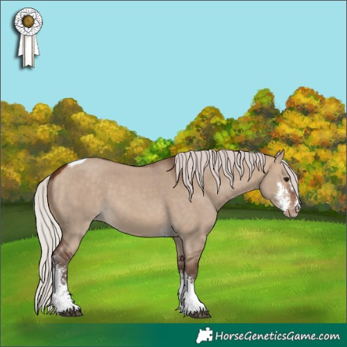 Horse Color:Silver Brown Dun Sabino Tobiano Skewed LP Spotted 
